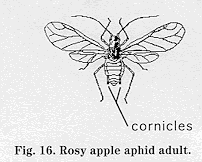 CPAP_7.fig16.GIF (15402 bytes)