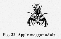 CPAP_7.fig22.gif (5599 bytes)